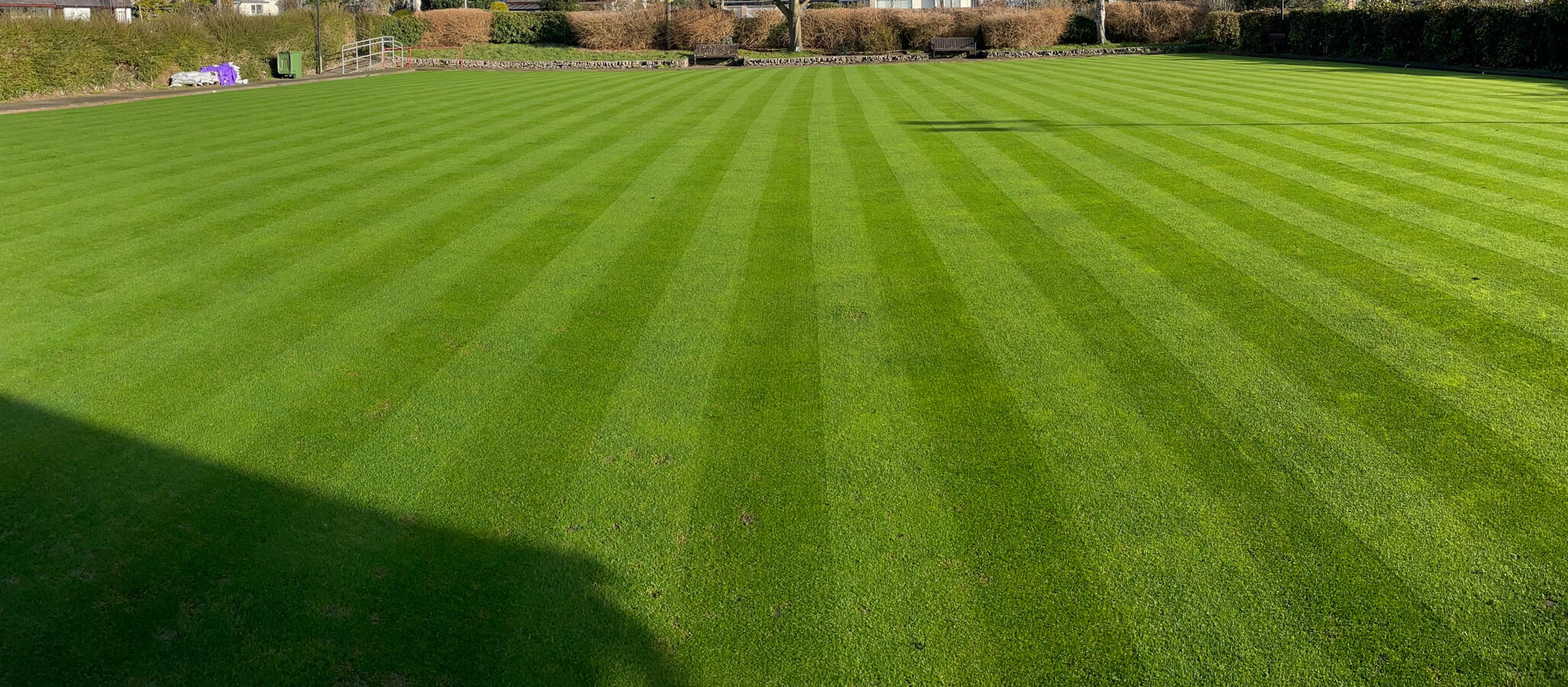 Full recovery of surface with strong growth.